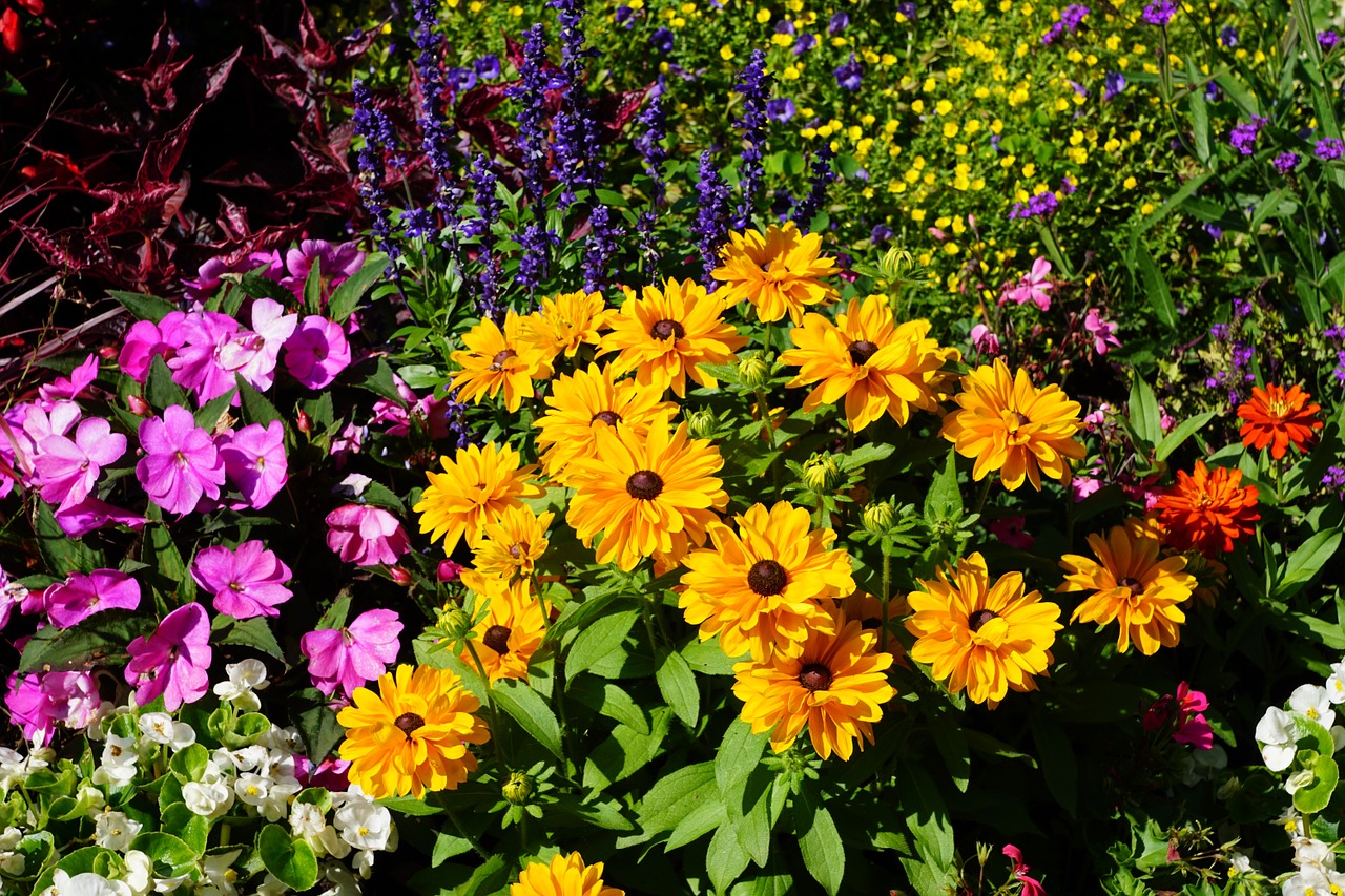 flowers green plant free photo