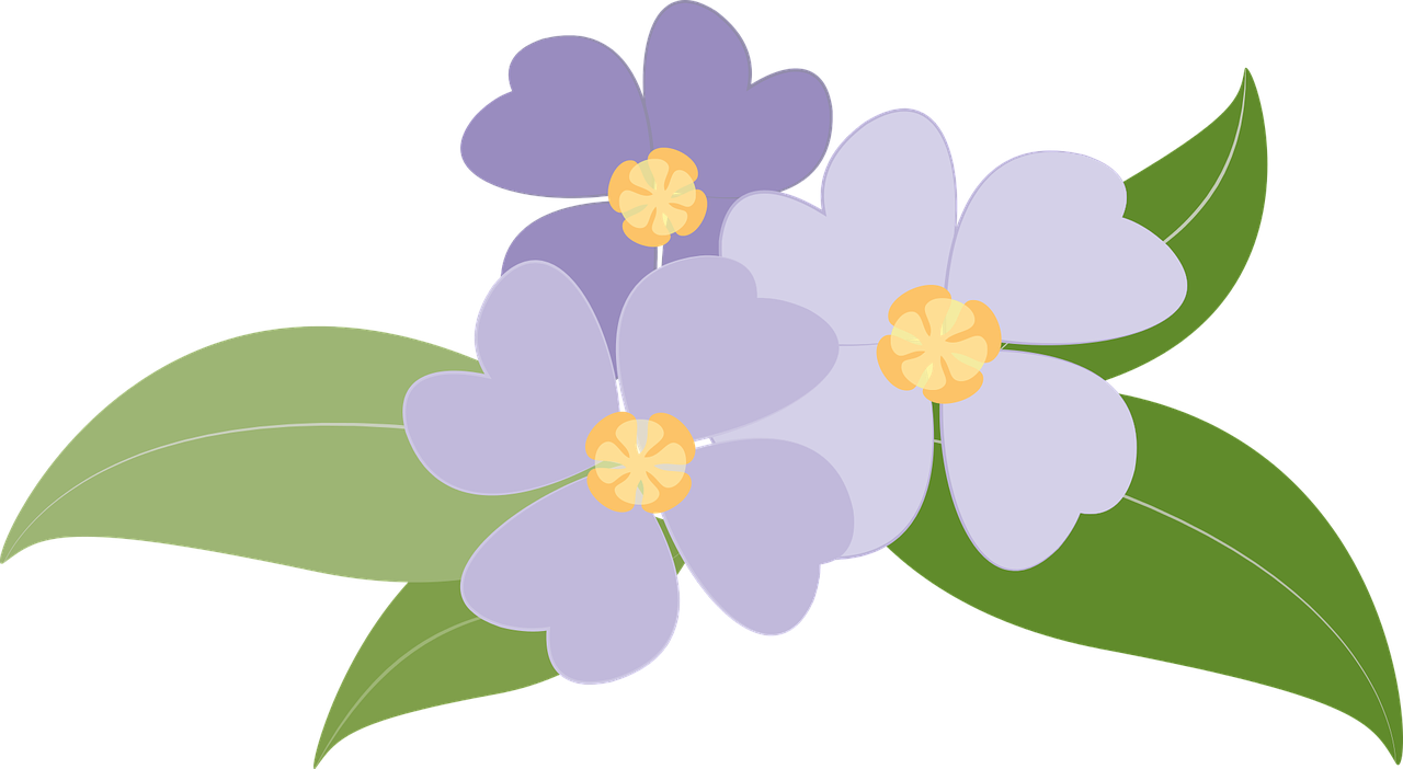flowers plants purple free photo