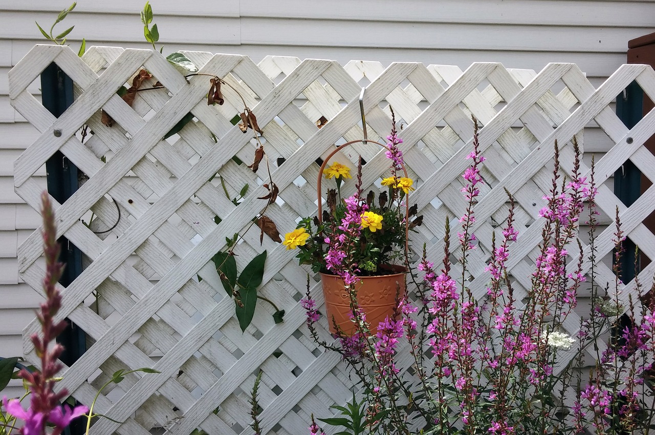 flowers garden lattice free photo