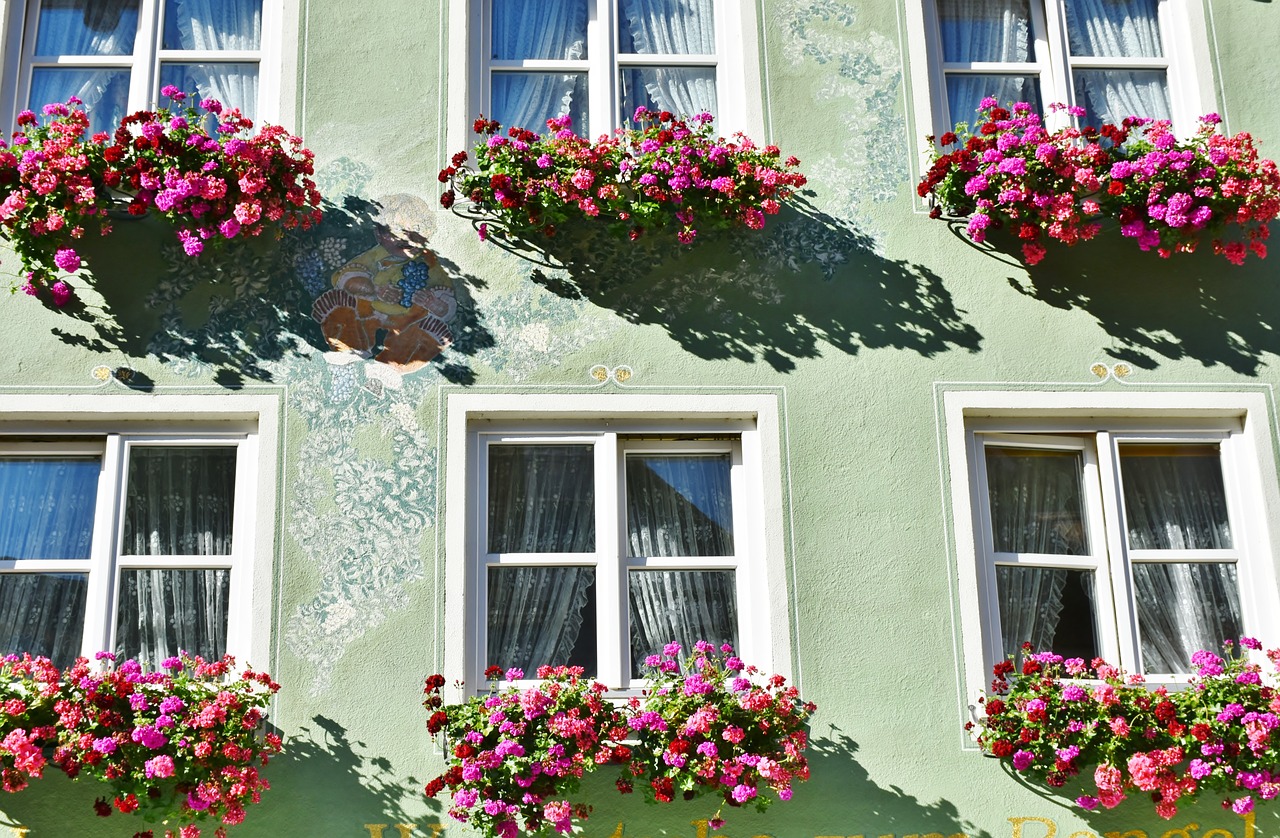 flowers floral decorations geranium free photo