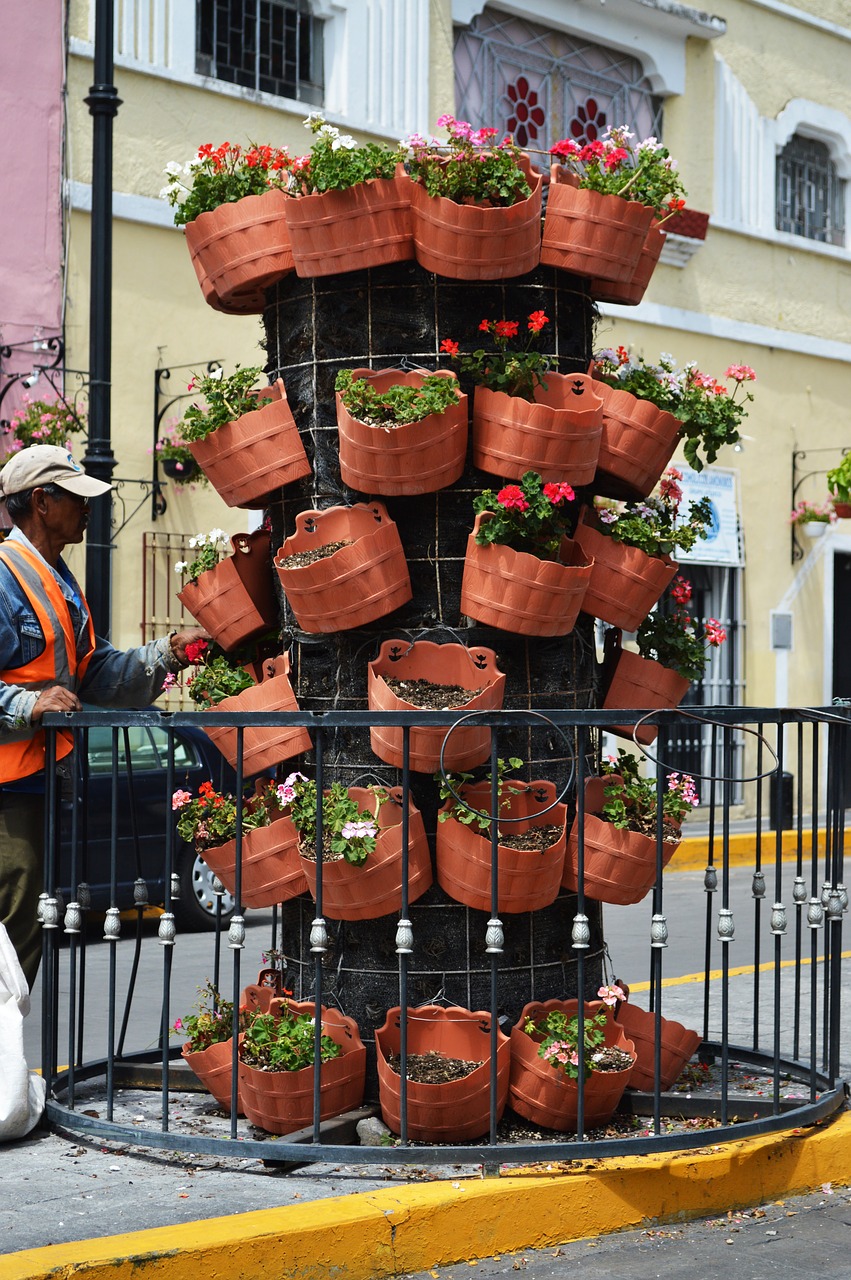 flowers pots peoples free photo