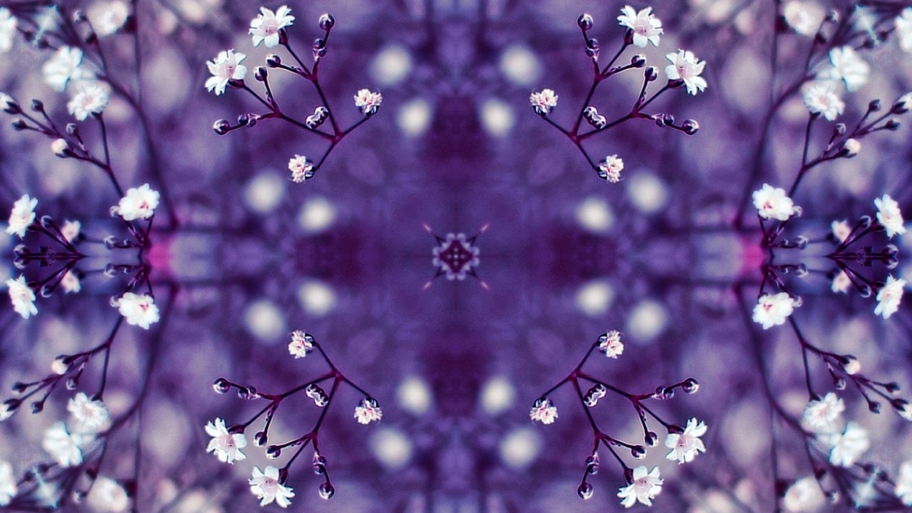 flowers kaleidoscope violet free photo