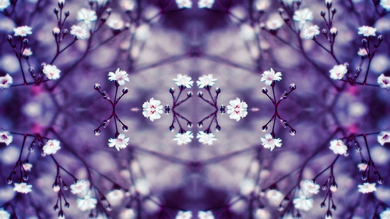 flowers kaleidoscope violet free photo