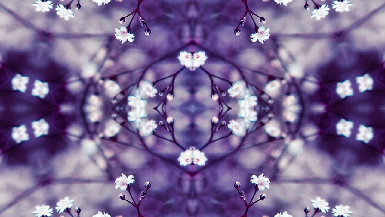 flowers kaleidoscope violet free photo