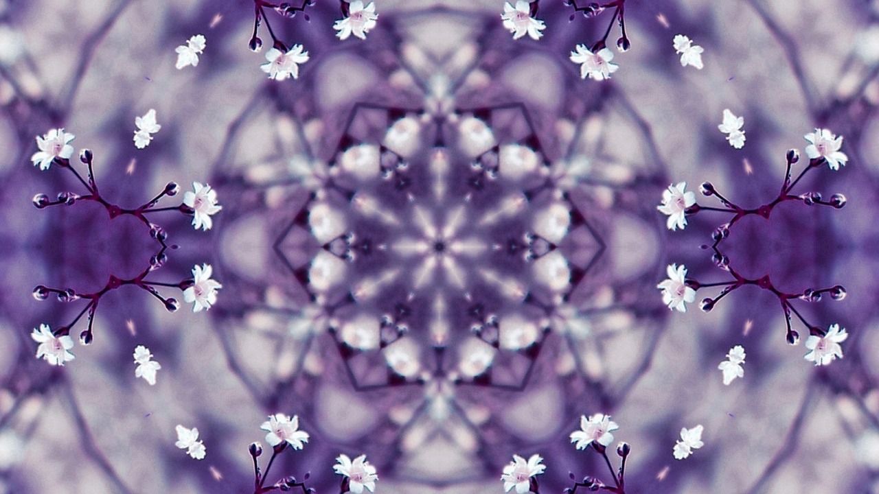 flowers kaleidoscope violet free photo