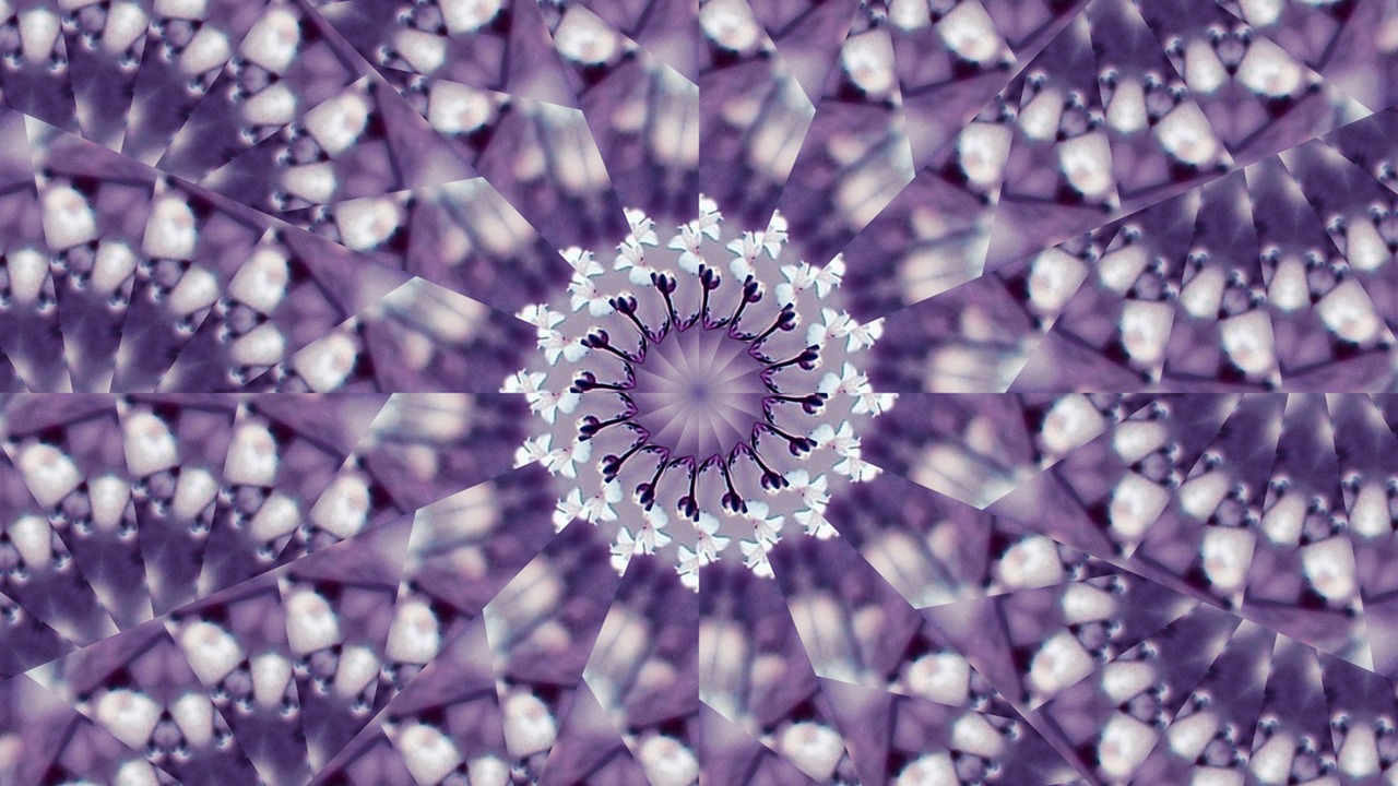 flowers kaleidoscope violet free photo