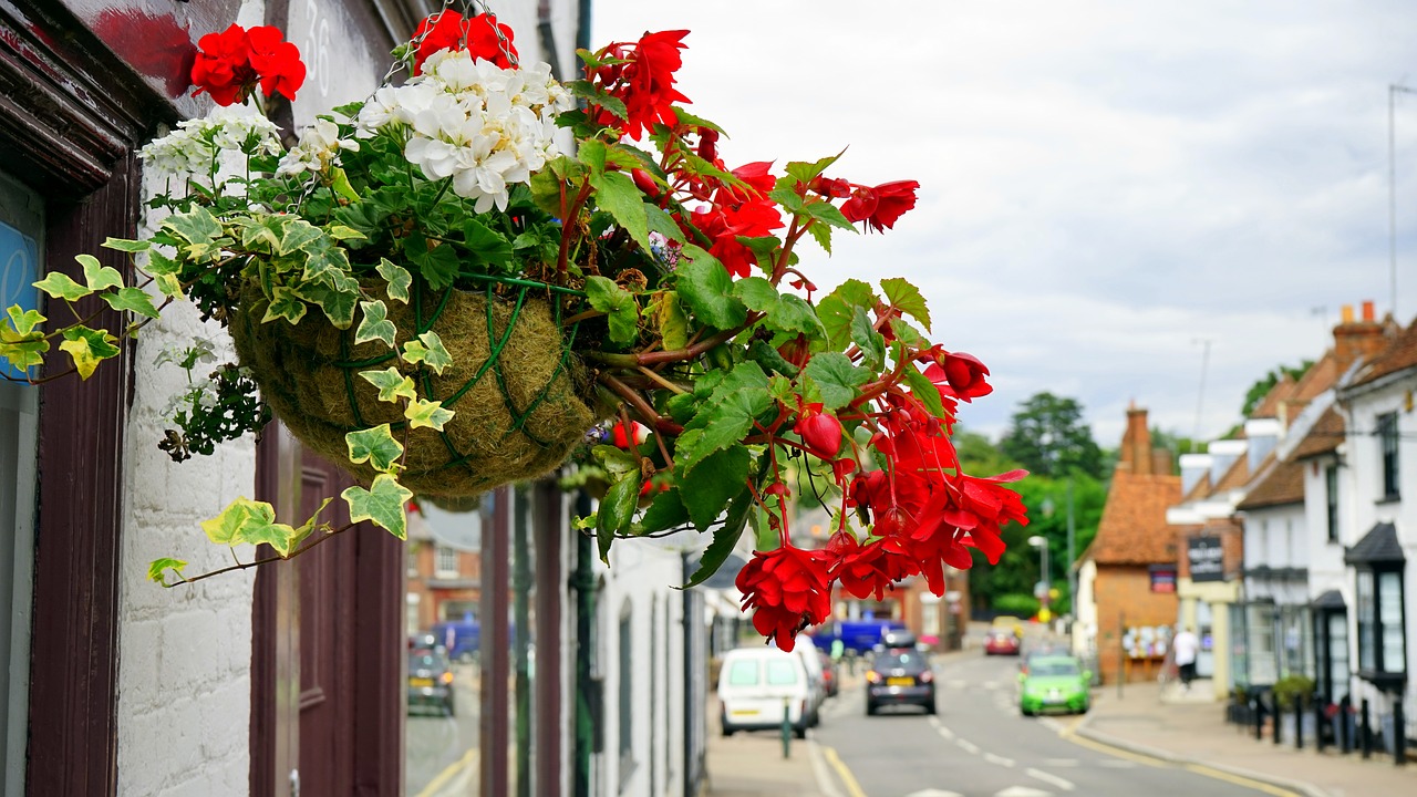 flowers street decoration free photo