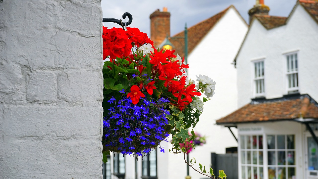 flowers street decoration free photo