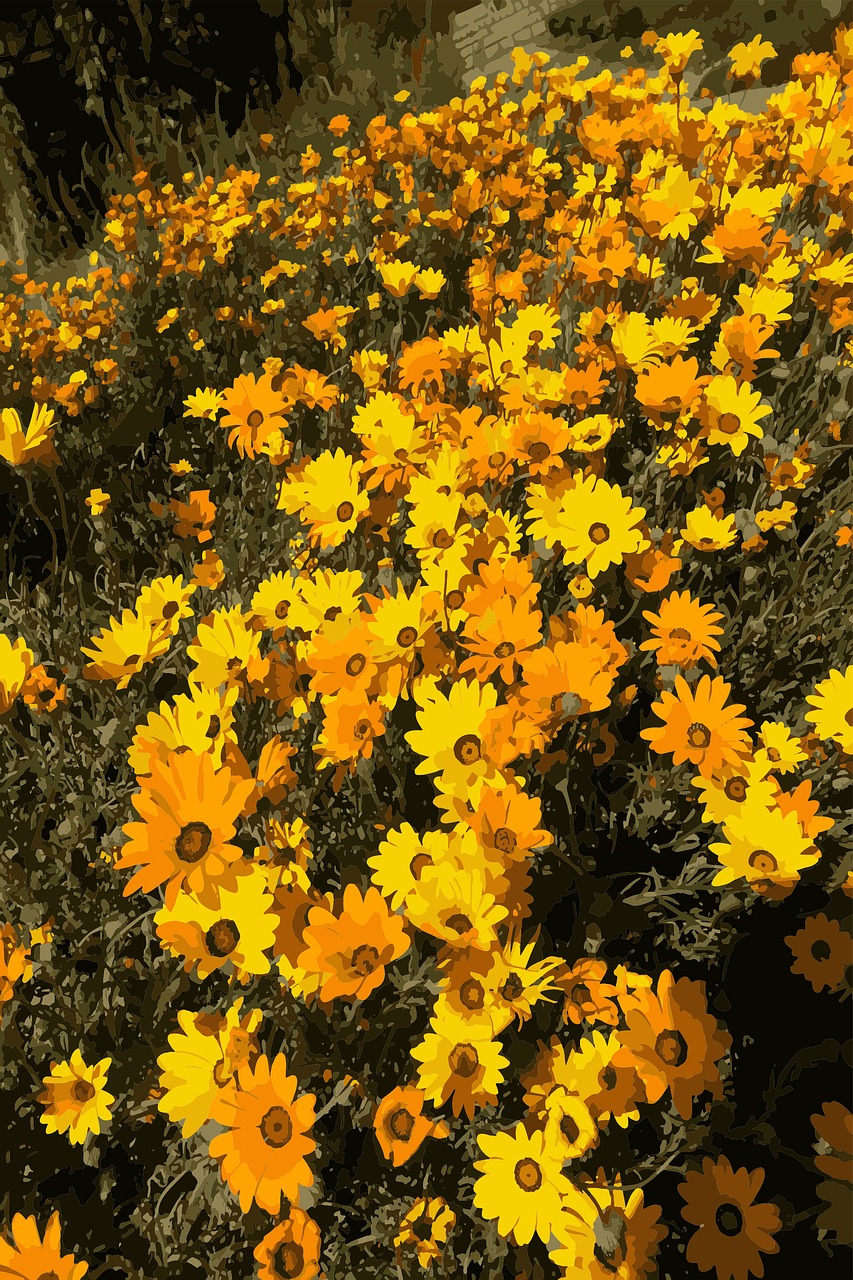 flowers garden yellow free photo