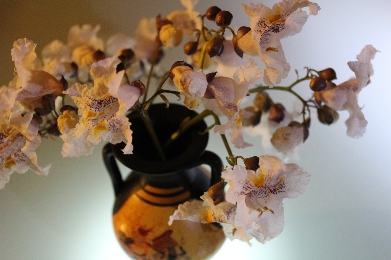 flowers pitcher still life free photo