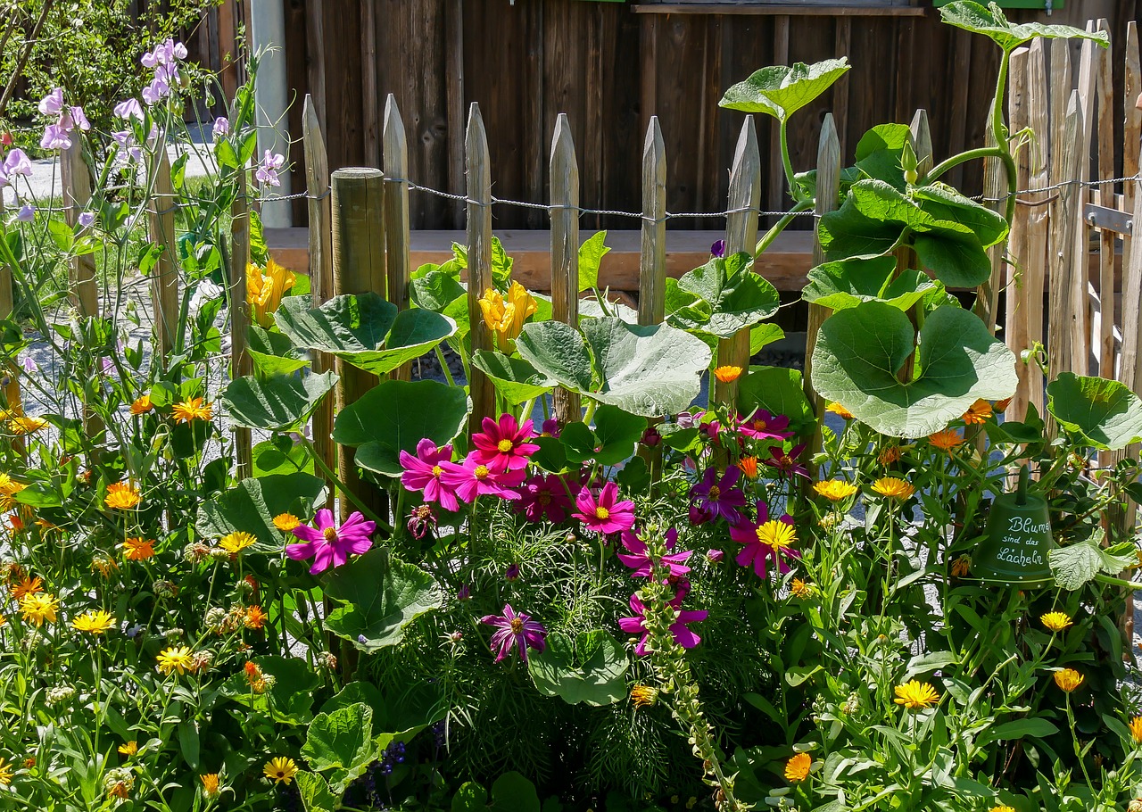 flowers blossom bloom free photo