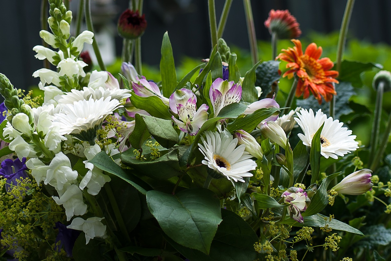 flowers garden bouquet free photo