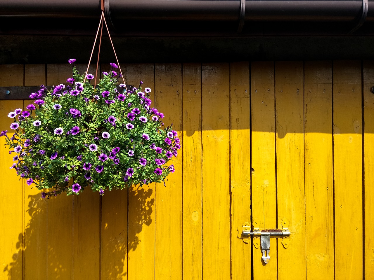 flowers the door wood free photo