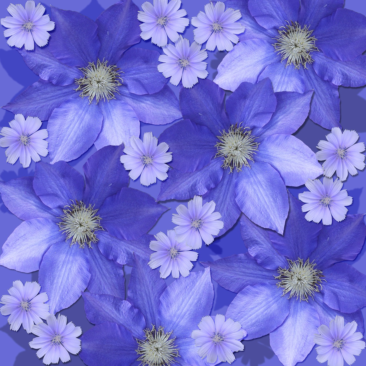 flowers scrapbook background clematis free photo