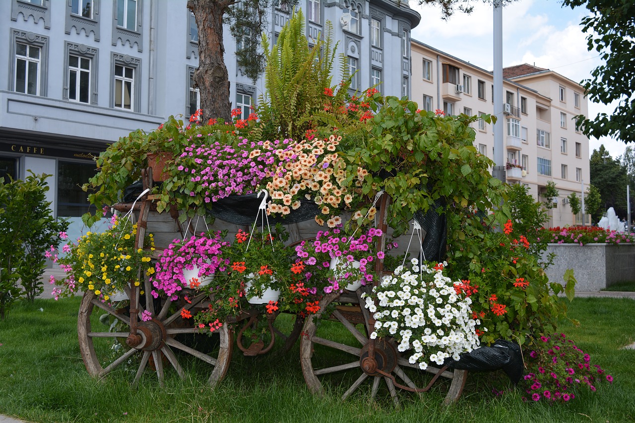 flowers arrangement wheel free photo