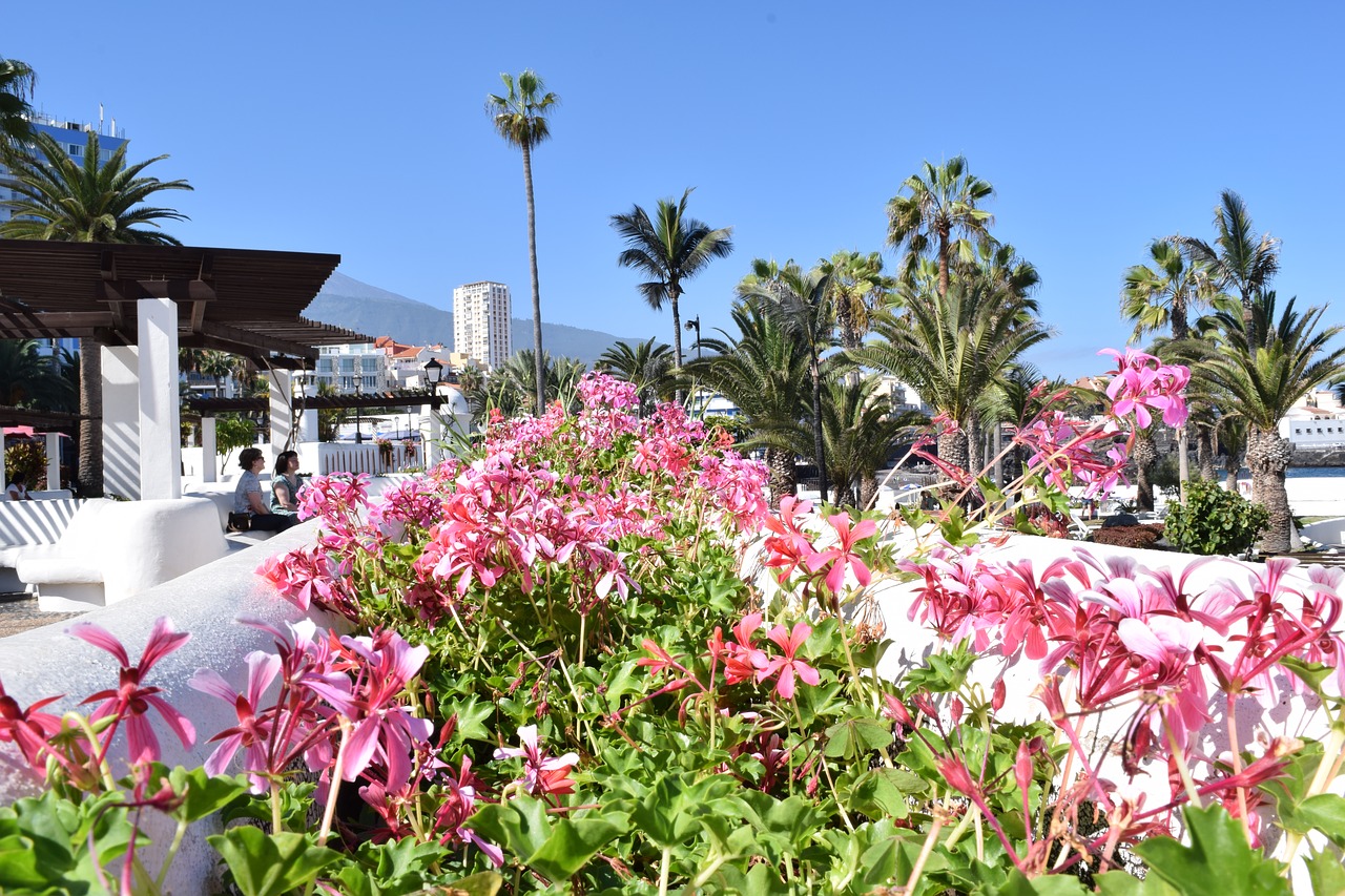 flowers walk tenerife free photo