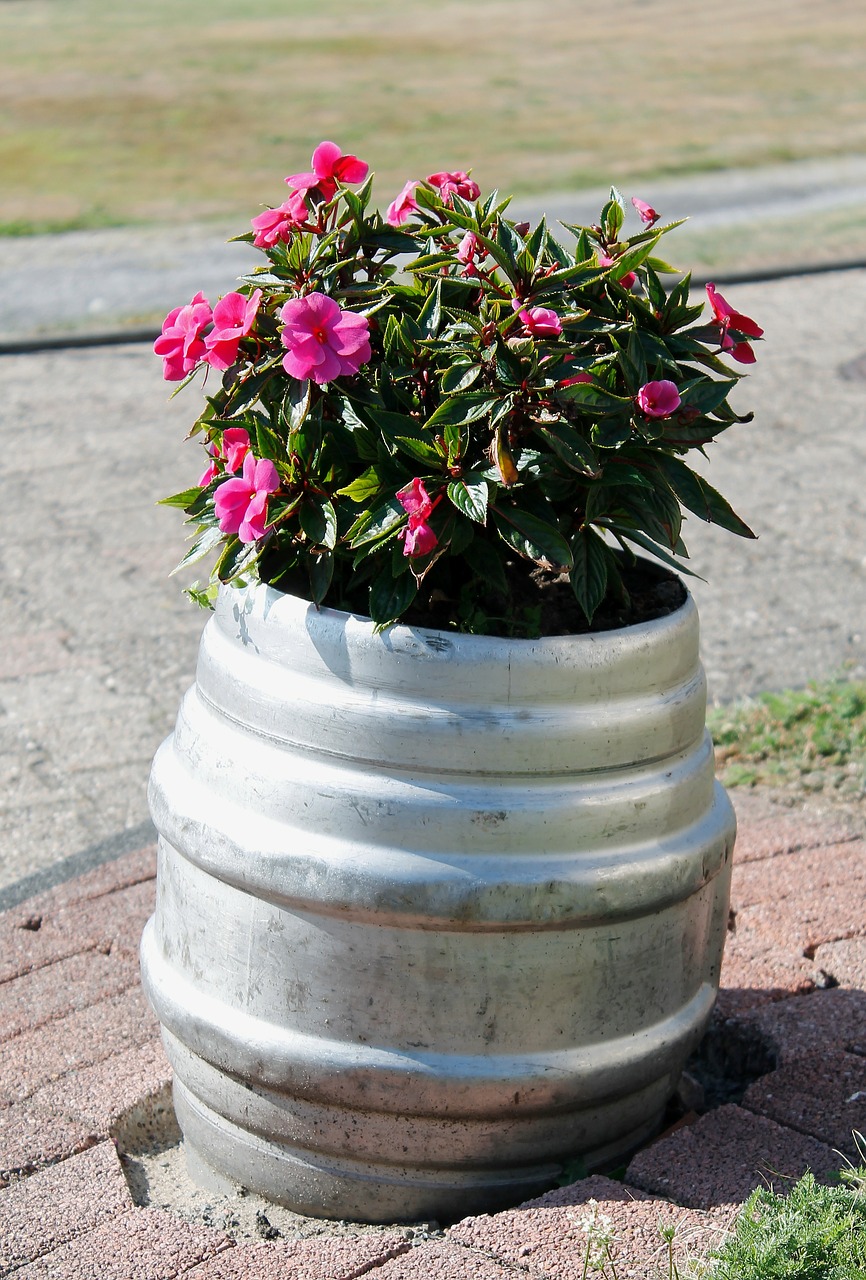 flowers beer keg planters free photo