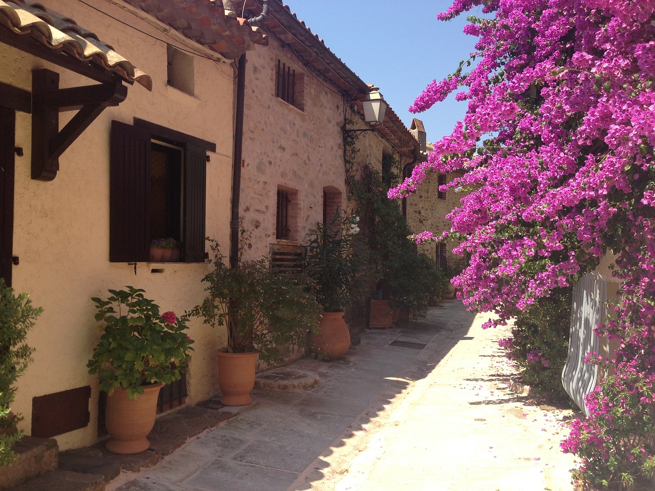 flowers france street free photo