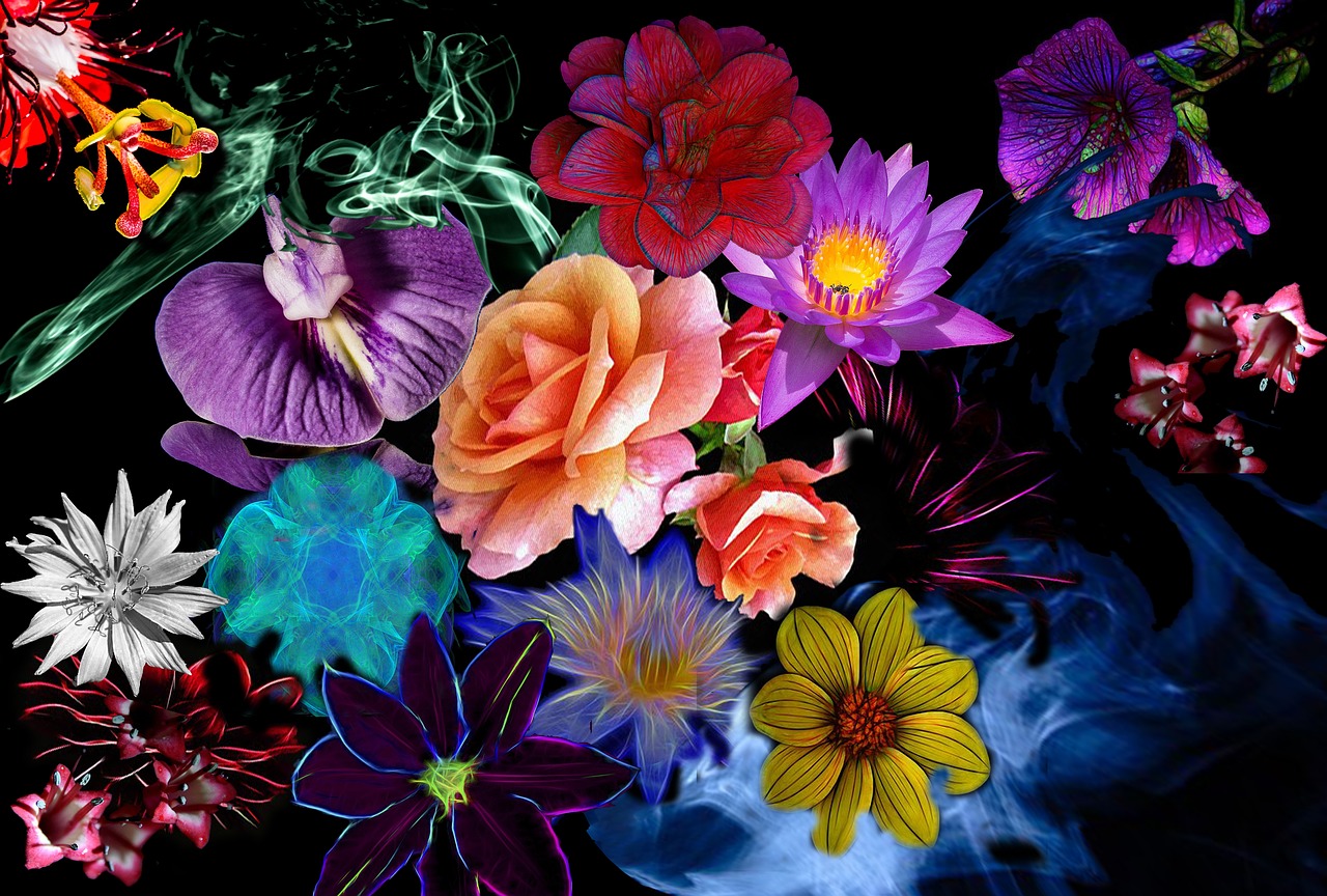 flowers mixed save free photo