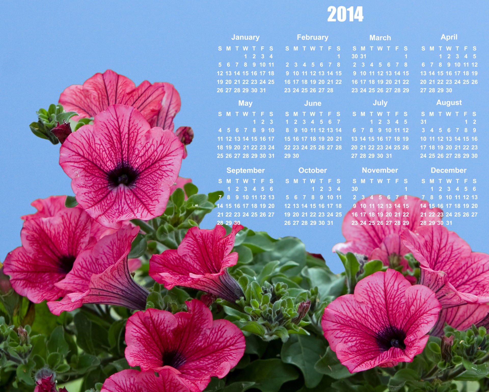 flowers calendar 2014 2014 free photo