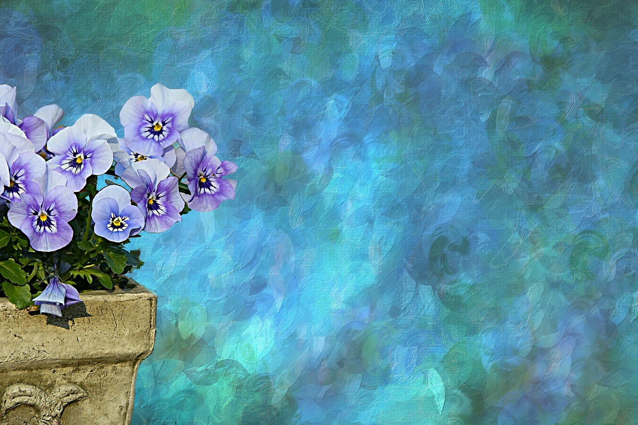 flowers pansy texture free photo