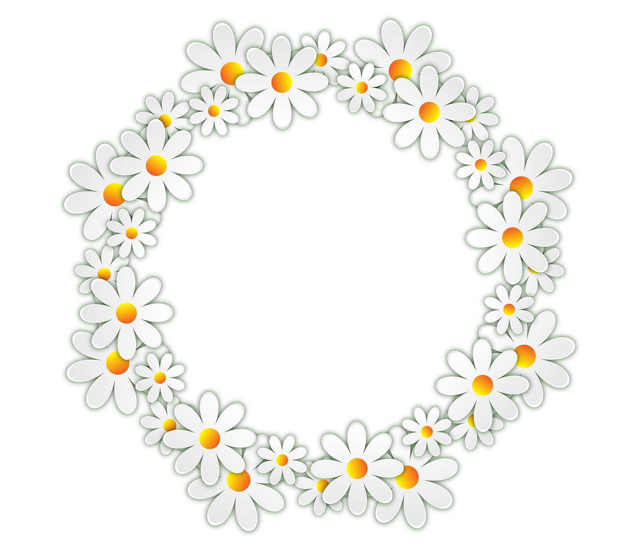 flowers daisy photo frame free photo