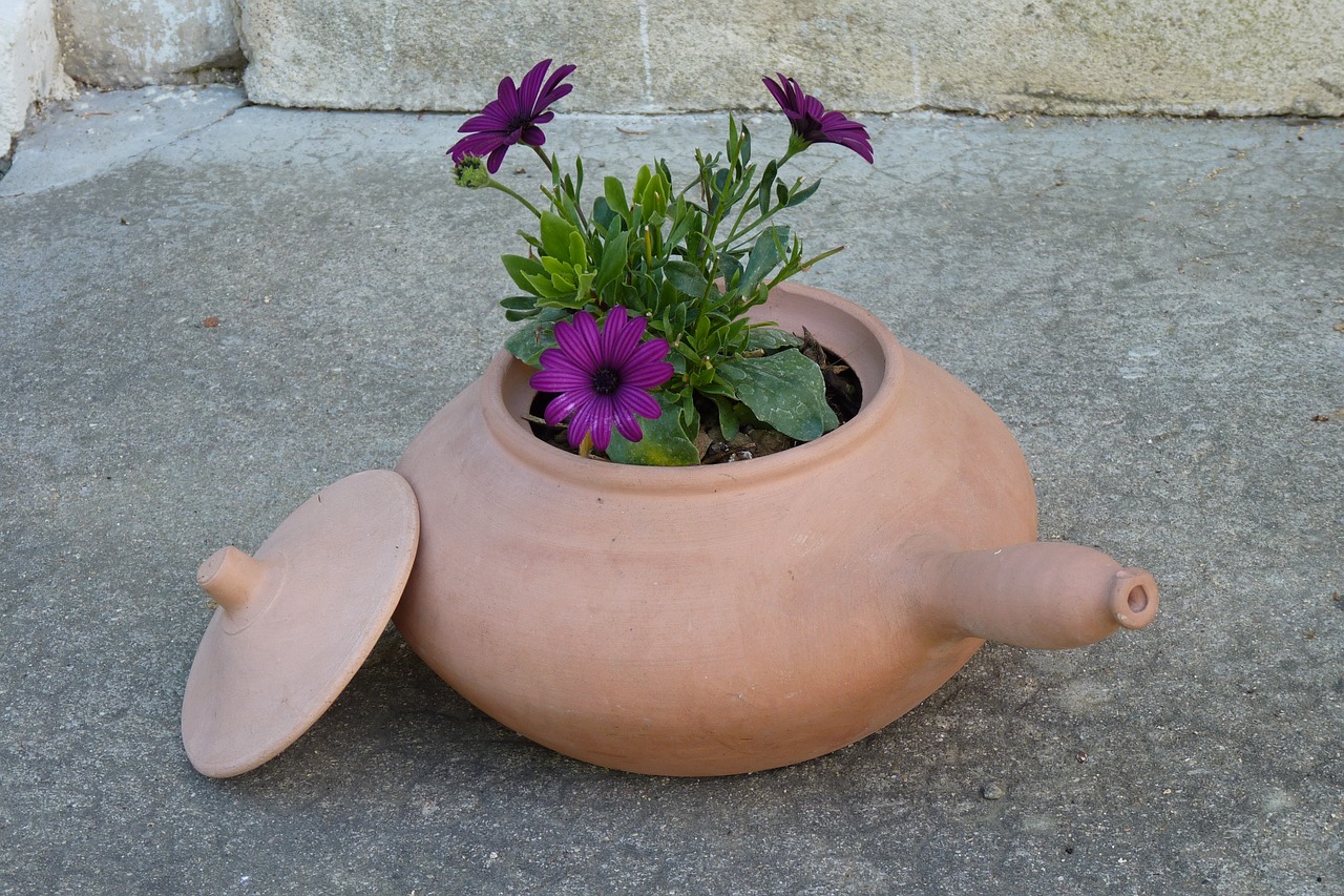 flowers clay pot terracotta free photo