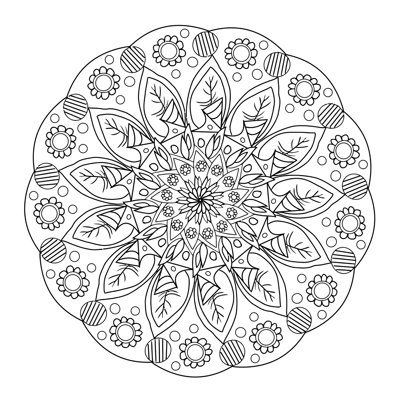 flowers mandala hand free photo