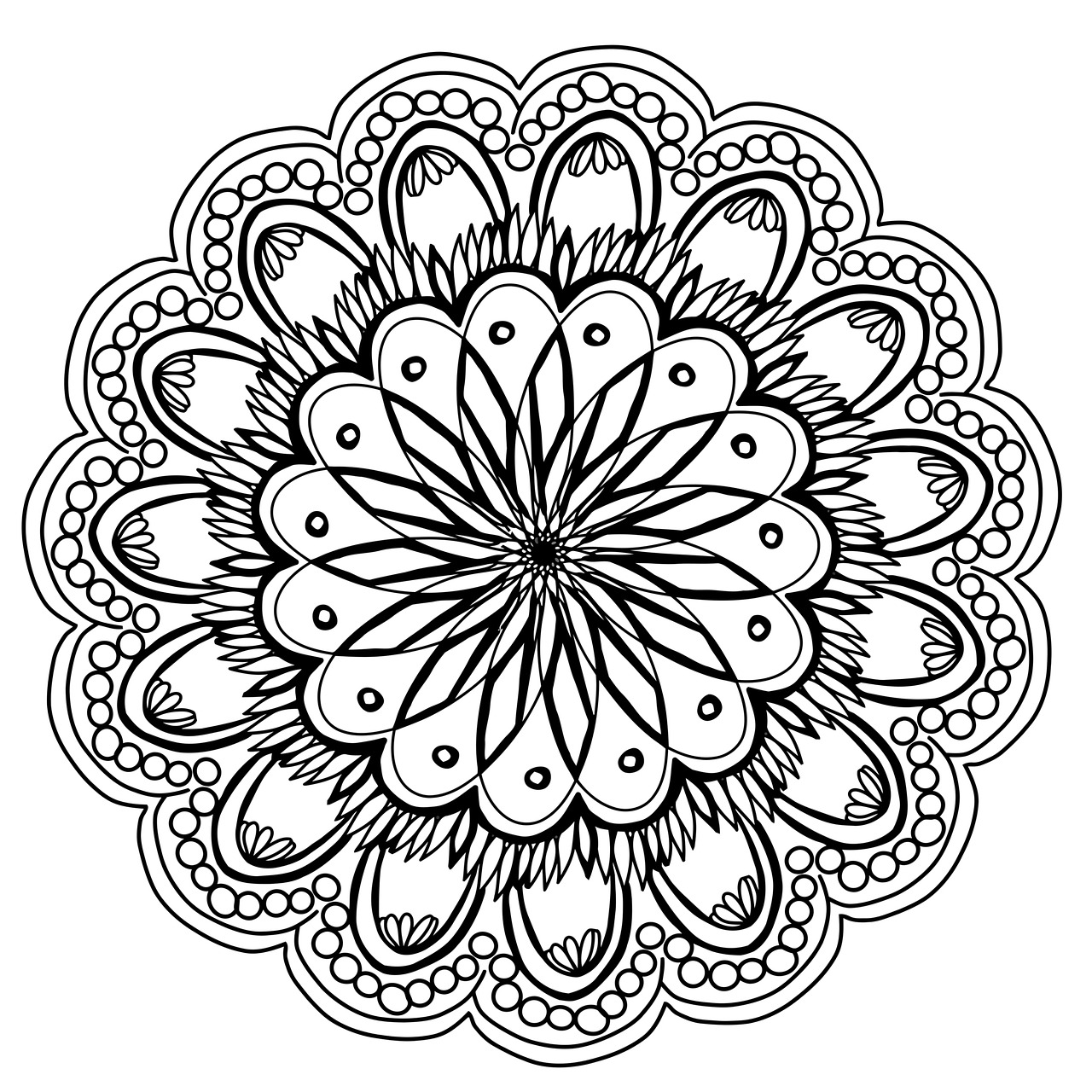 flowers mandala hand free photo