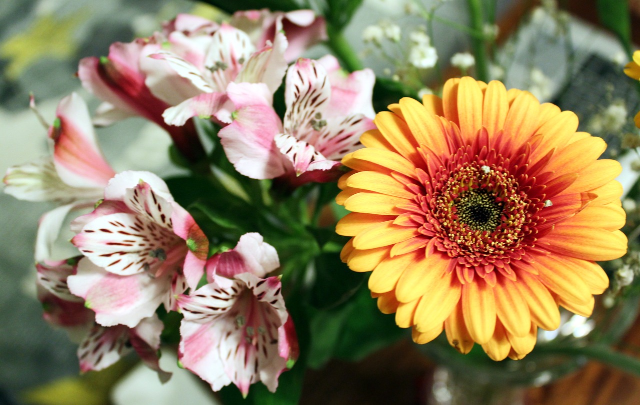 flowers bouquet floral bouquet free photo