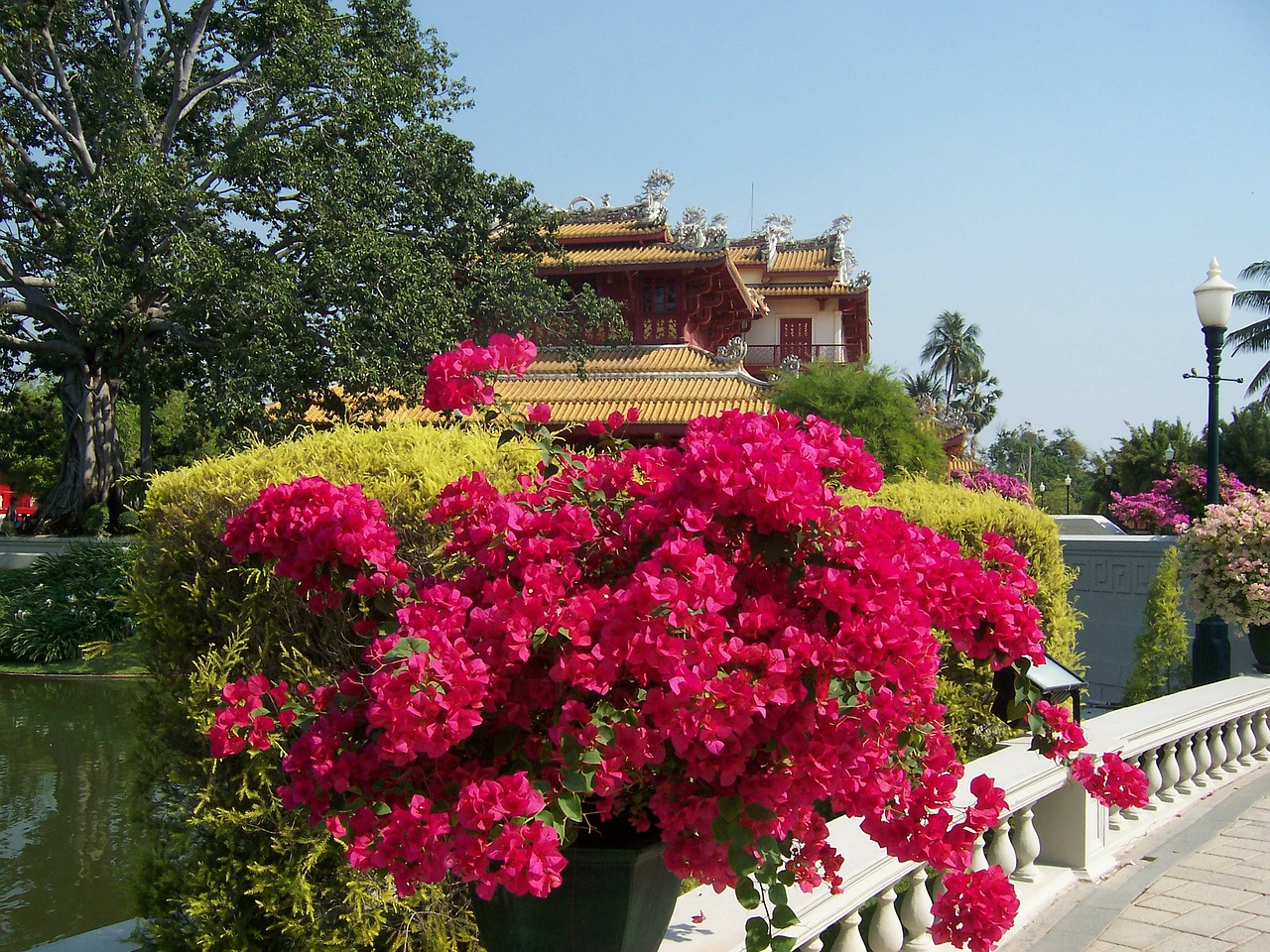 flowers park thailand free photo