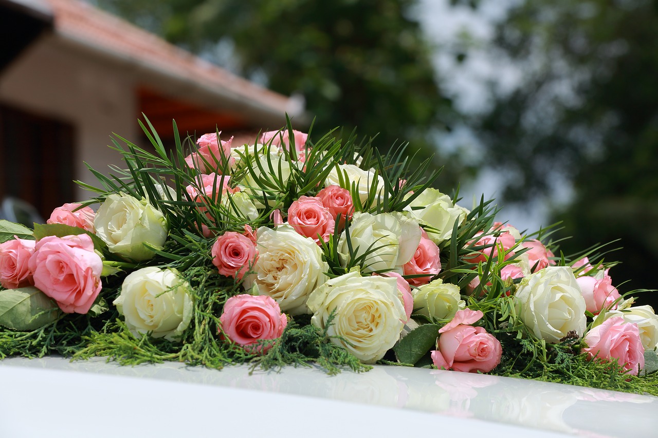 flowers roses white rose free photo