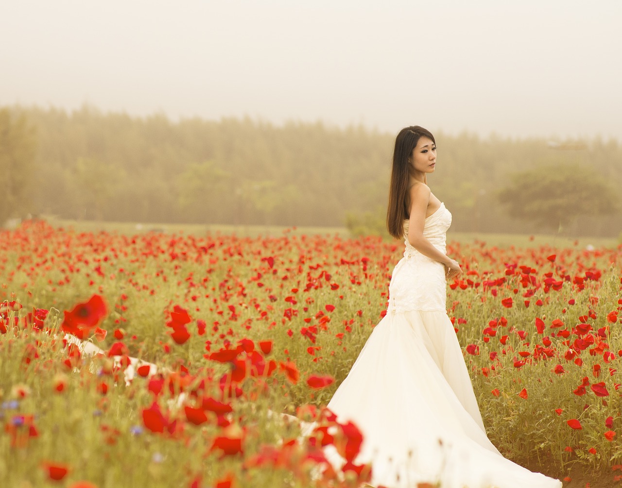 flowers woman dress up free photo