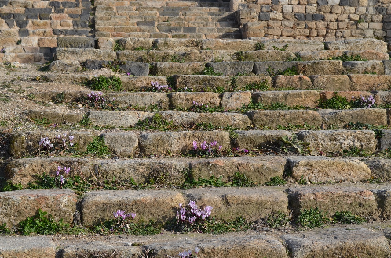 flowers stairs ruins free photo