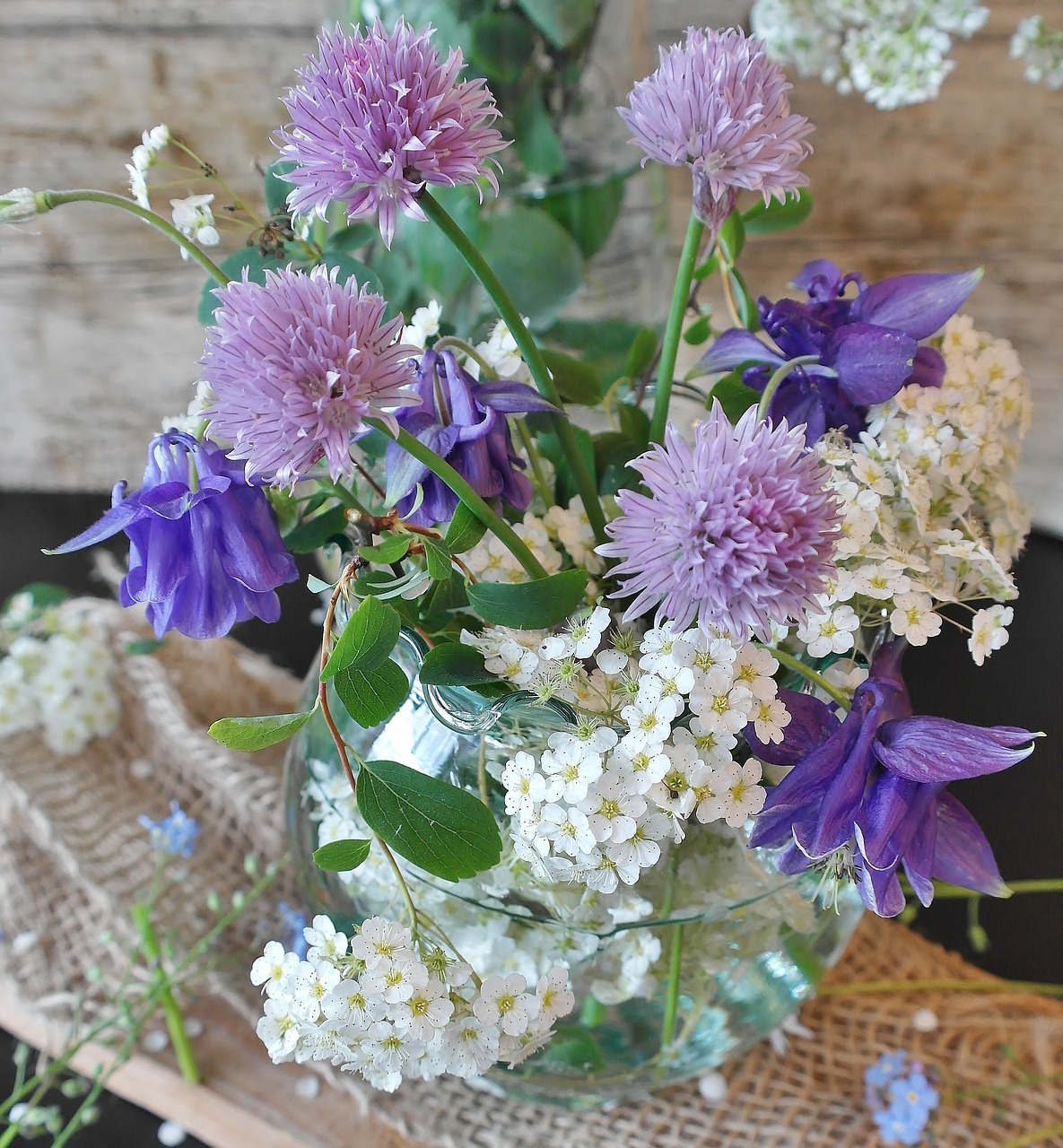 flowers flower vase chives free photo