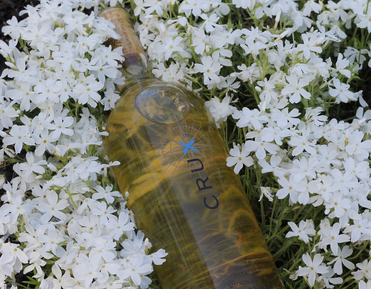 flowers wine bottle free photo