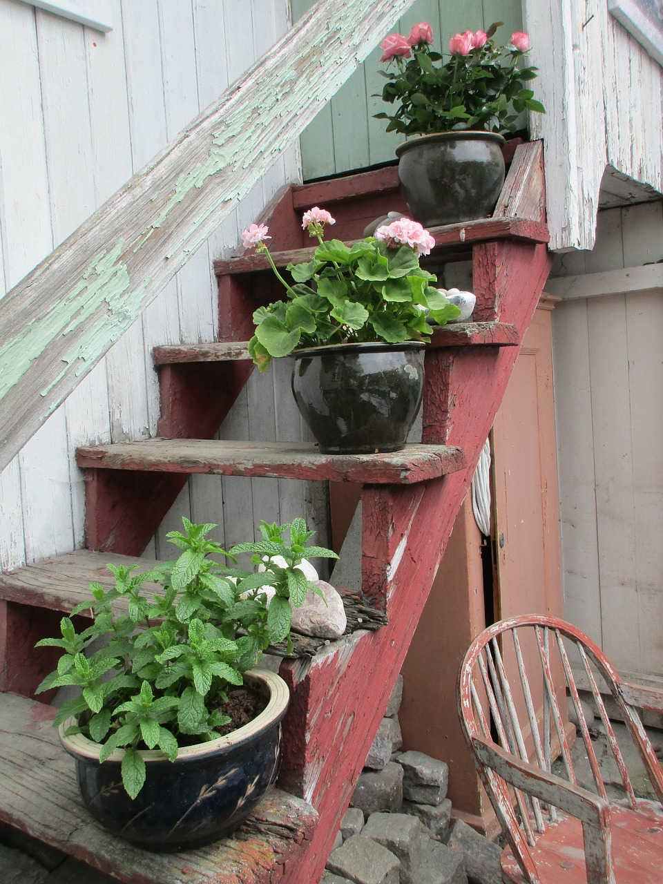 flowers stairs summer free photo