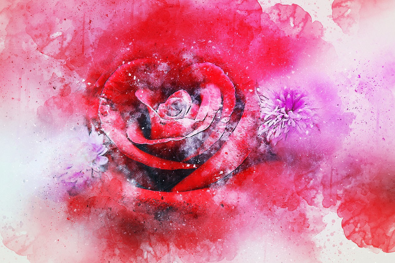 flowers rose art free photo