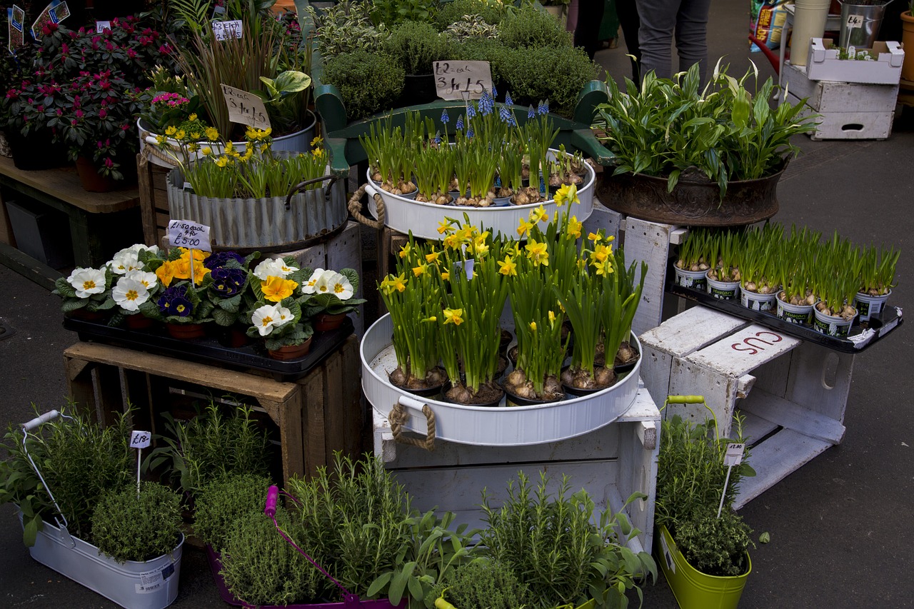 flowers stand market free photo