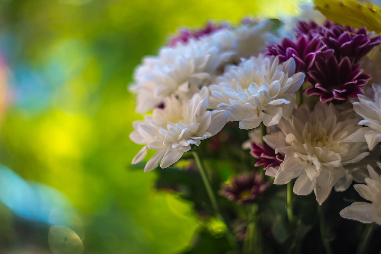 flowers flowers of the field bouquet free photo