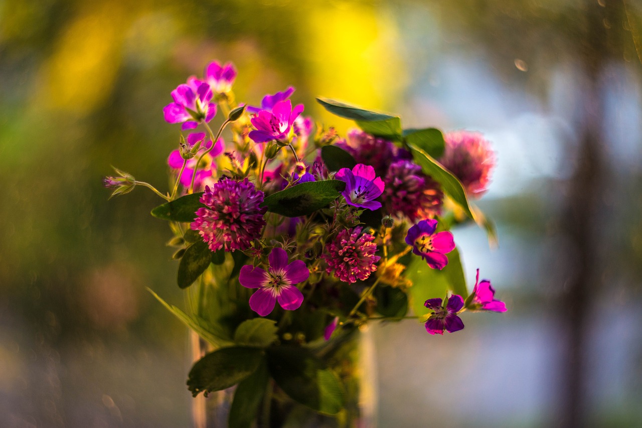 flowers flowers of the field bouquet free photo