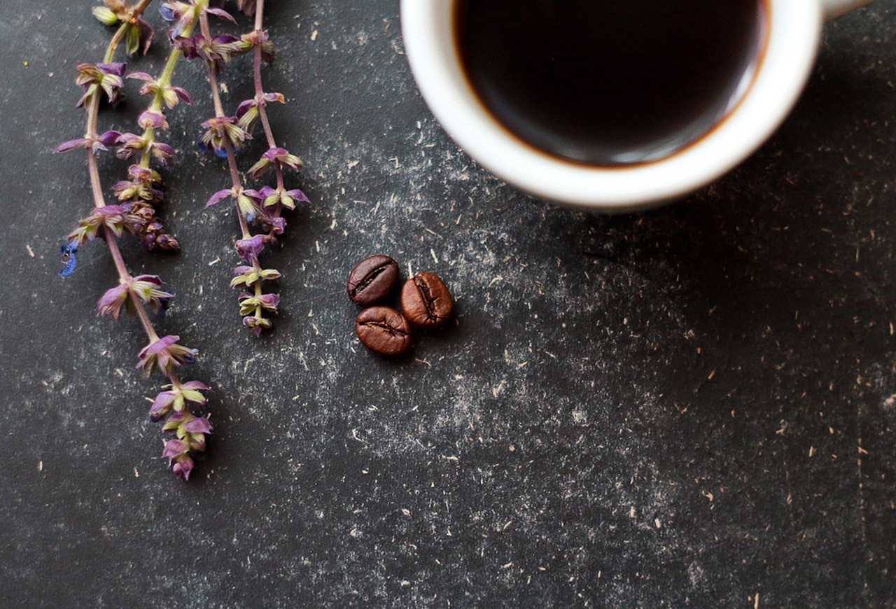 flowers coffee harmony free photo