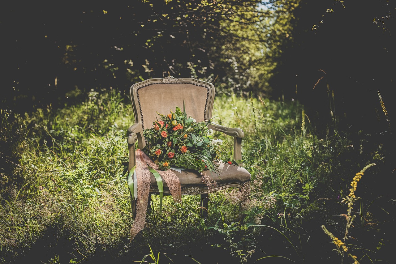 flowers chairs plants free photo