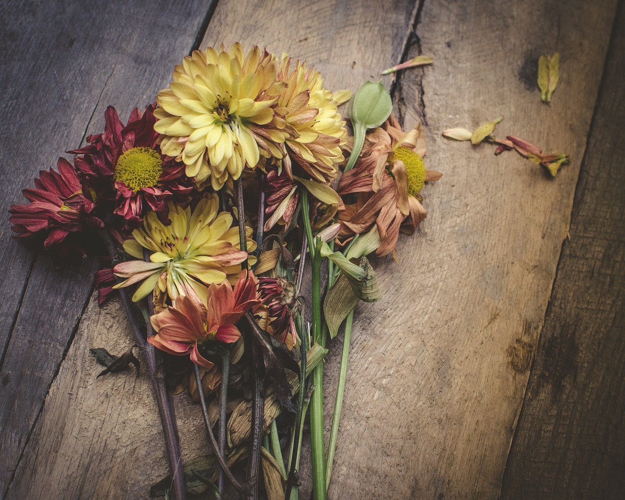 flowers petal wooden free photo