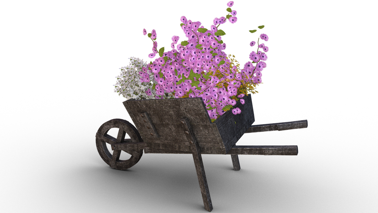 flowers cart pushing barrow free photo