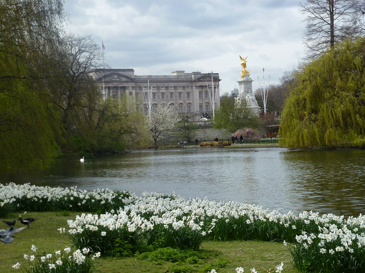 flowers london park free photo