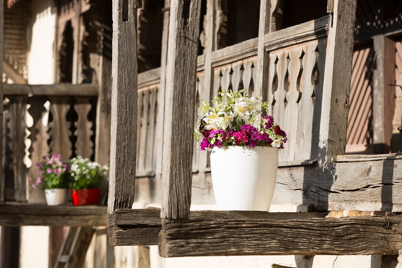 flowers flowerpots green free photo