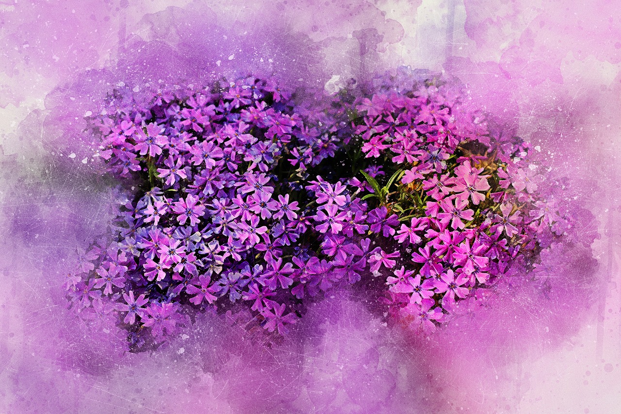 flowers spring art free photo