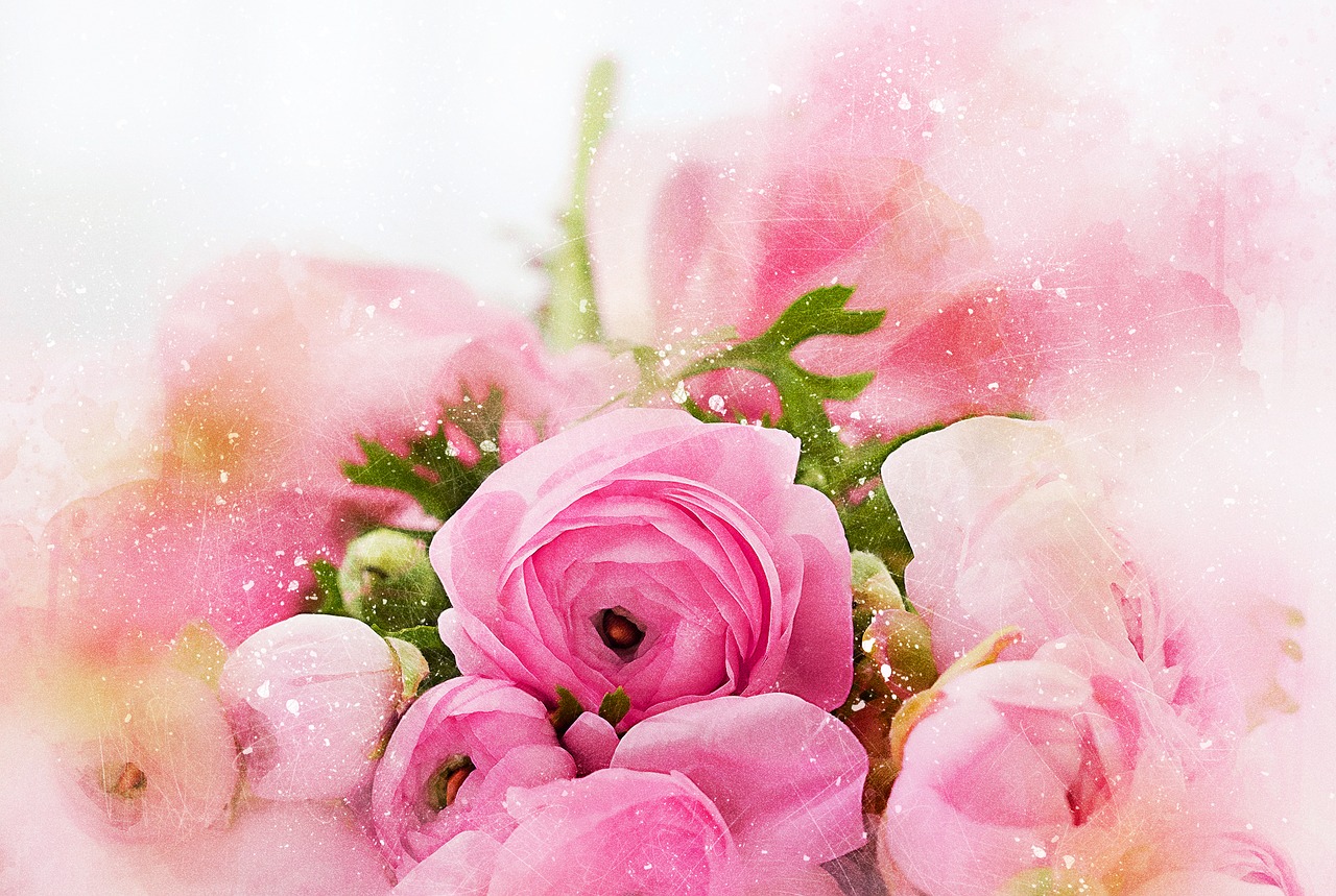 flowers roses bouquet free photo