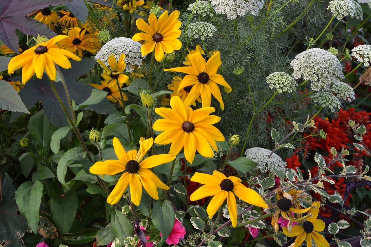 flowers flowers orange-yellow massif free photo